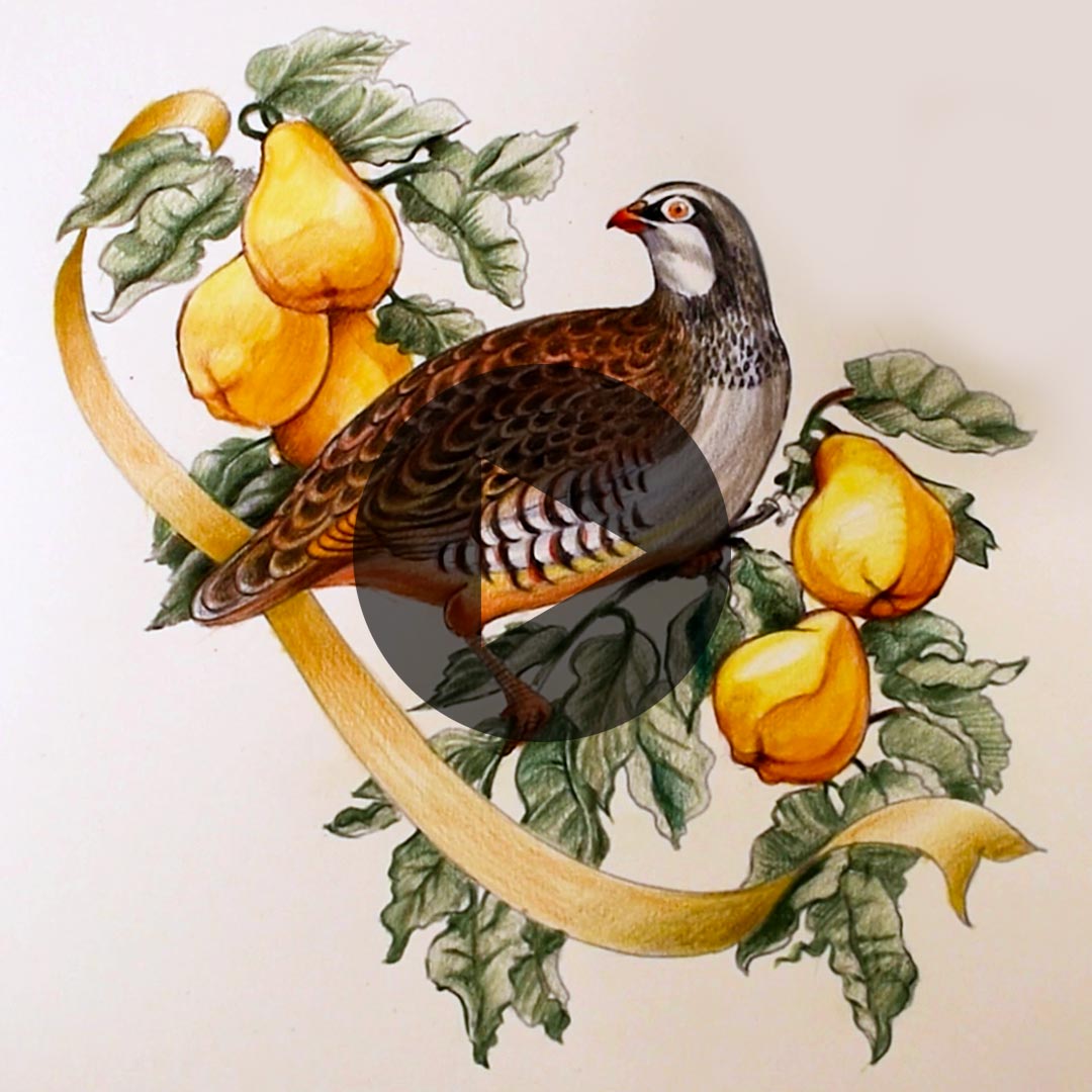 Partridge In A Pair Tree Instagram post