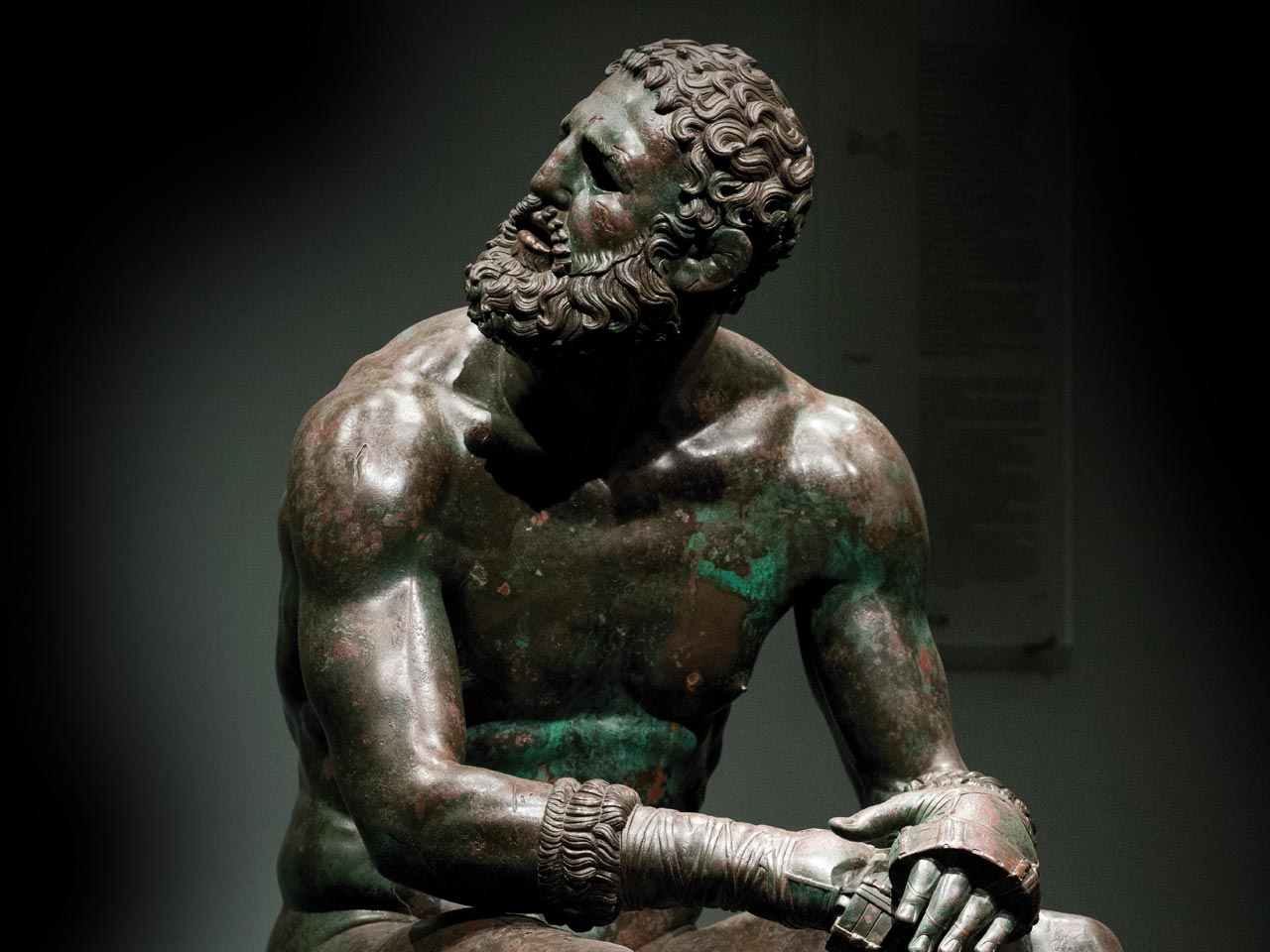 windolanda boxing gloves display